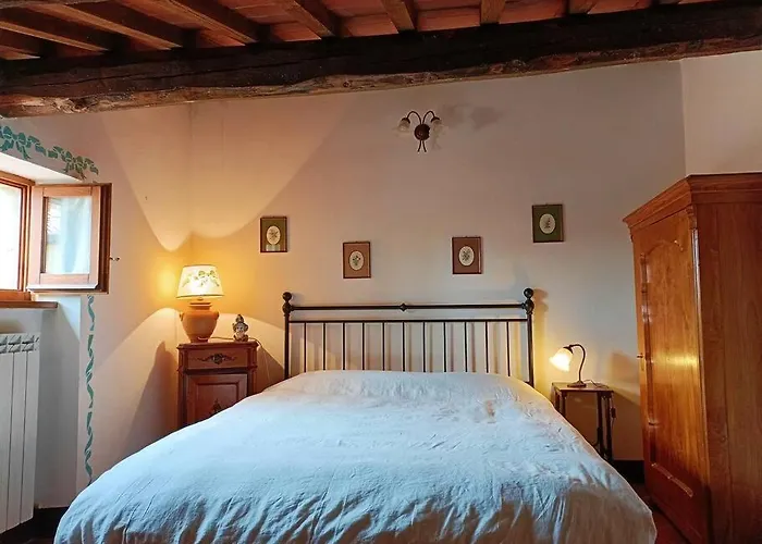 Renaissance House
